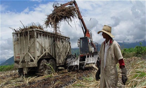 Sudamérica sufrirá crisis alimentaria por cambio climático