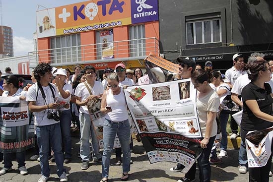 Activistas se manifestaron contra tienda de venta de mascotas en Puebla