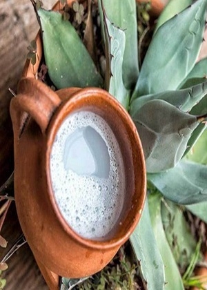 Pulque y sus propiedades benéficas para la flora intestinal