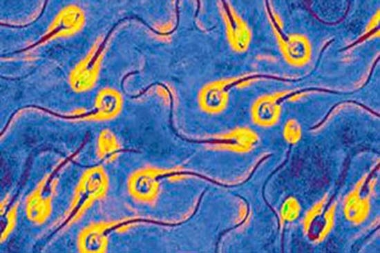 Píldora anticonceptiva para hombres, en fase experimental