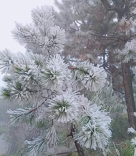 Estas postales dejó el frío en Zacatlán