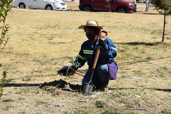 Gobierno de San Pedro Cholula ejecuta trabajos de mejora en la Reserva Territorial Quetzalcóatl