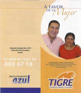 folleto-tigre-030001