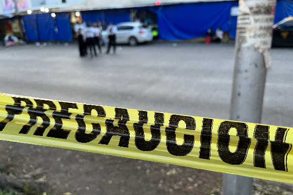linea policia