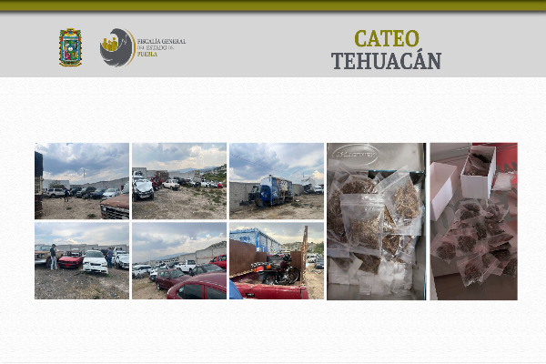 tehuacan cateo