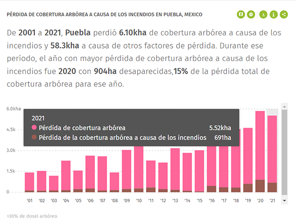 Estadística sobre pérdida de cobertura arbórea en Puebla