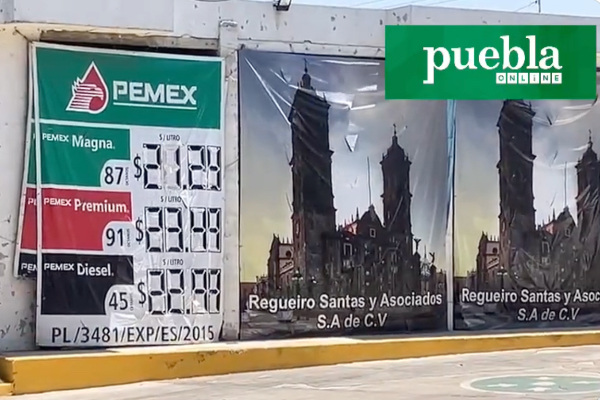 gasolina