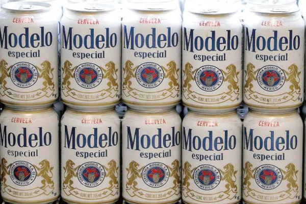 modelo ok