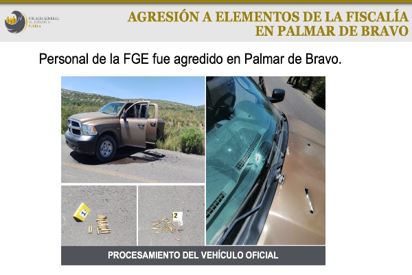 palmar bravo ok