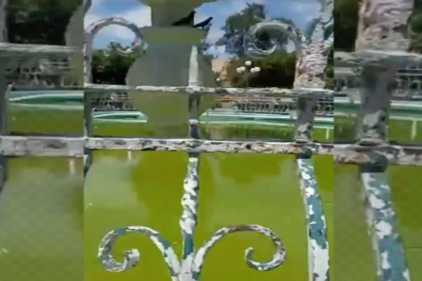 Fuente del zócalo de Izúcar de Matamoros, foco de brote de dengue