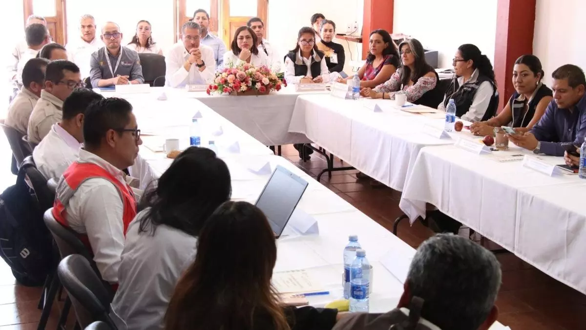 Puebla, Oaxaca y Veracruz coordinan estrategias contra el dengue