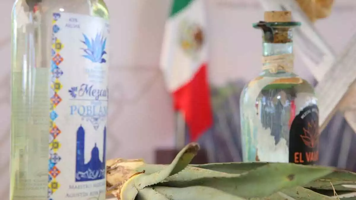 Anuncian la Expo Mezcal Orgullo Puebla