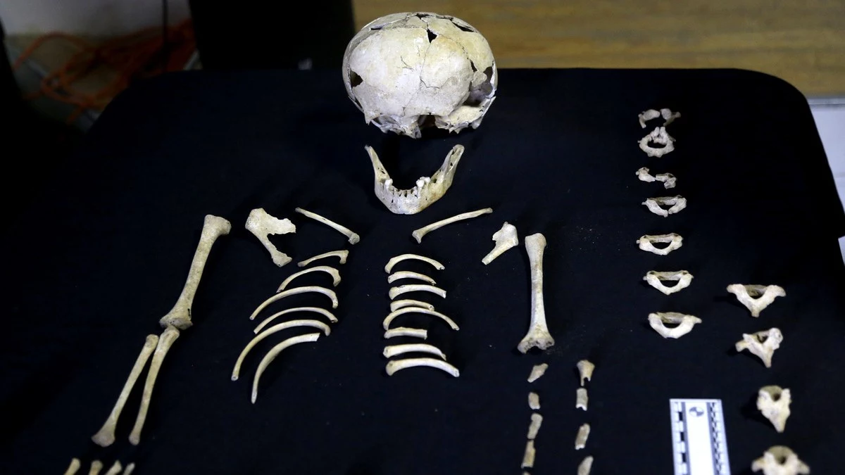 INAH restaura cráneo que fue dañado accidentalmente en San Andrés Cholula