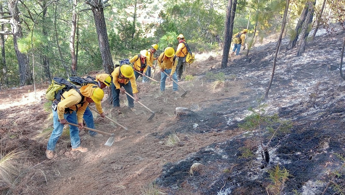 Incendio forestal en Ixtacamaxtitlán está liquidado al 90%; falta zona de difícil acceso