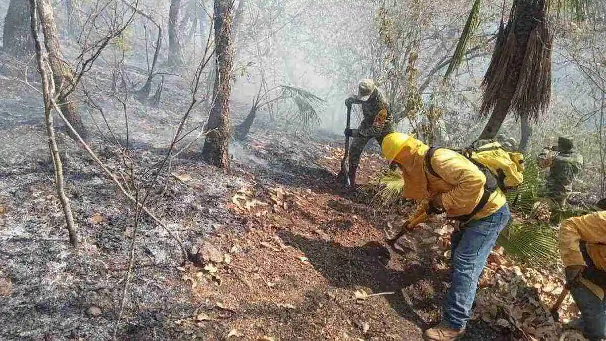 Se registran cinco incendios forestales en Puebla; hay uno activo
