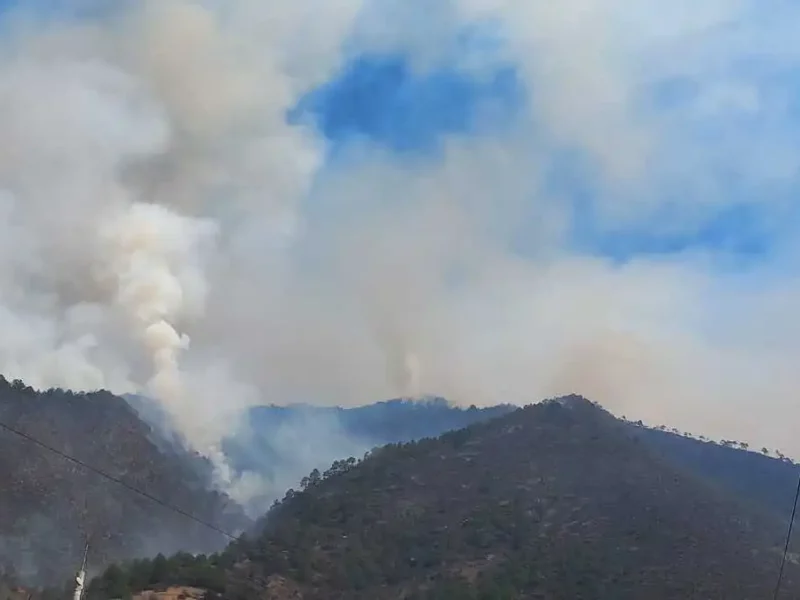 Reportan incendios forestales en siete municipios poblanos; en Tetela y Coyomeapan los más graves
