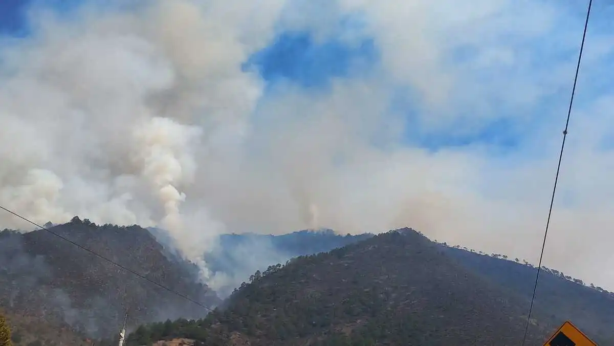 Reportan incendios forestales en siete municipios poblanos; en Tetela y Coyomeapan los más graves
