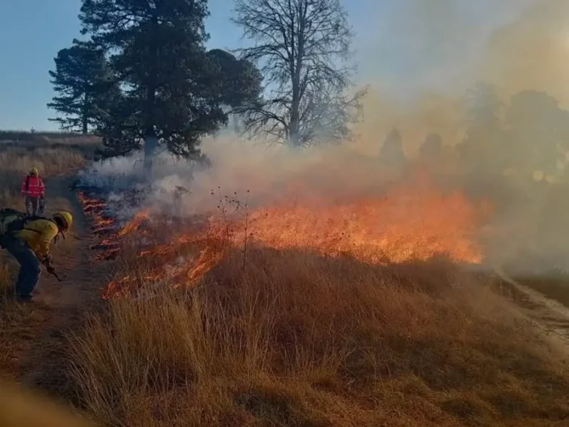 Se registra incendio en zona del cerro Zapotecas