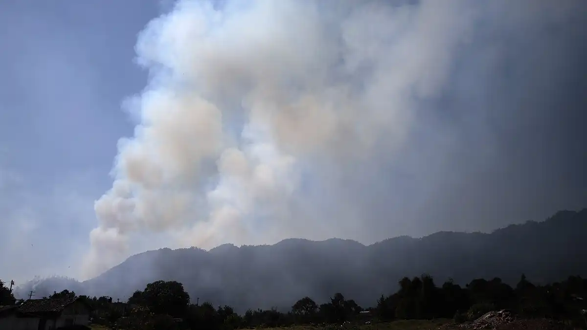Intencionales, la mayoría de incendios forestales en Puebla