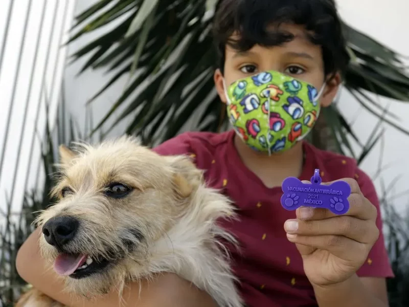 Vacune a su perro y gato; inicia campaña contra la rabia en Puebla