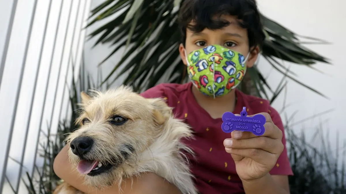Vacune a su perro y gato; inicia campaña contra la rabia en Puebla