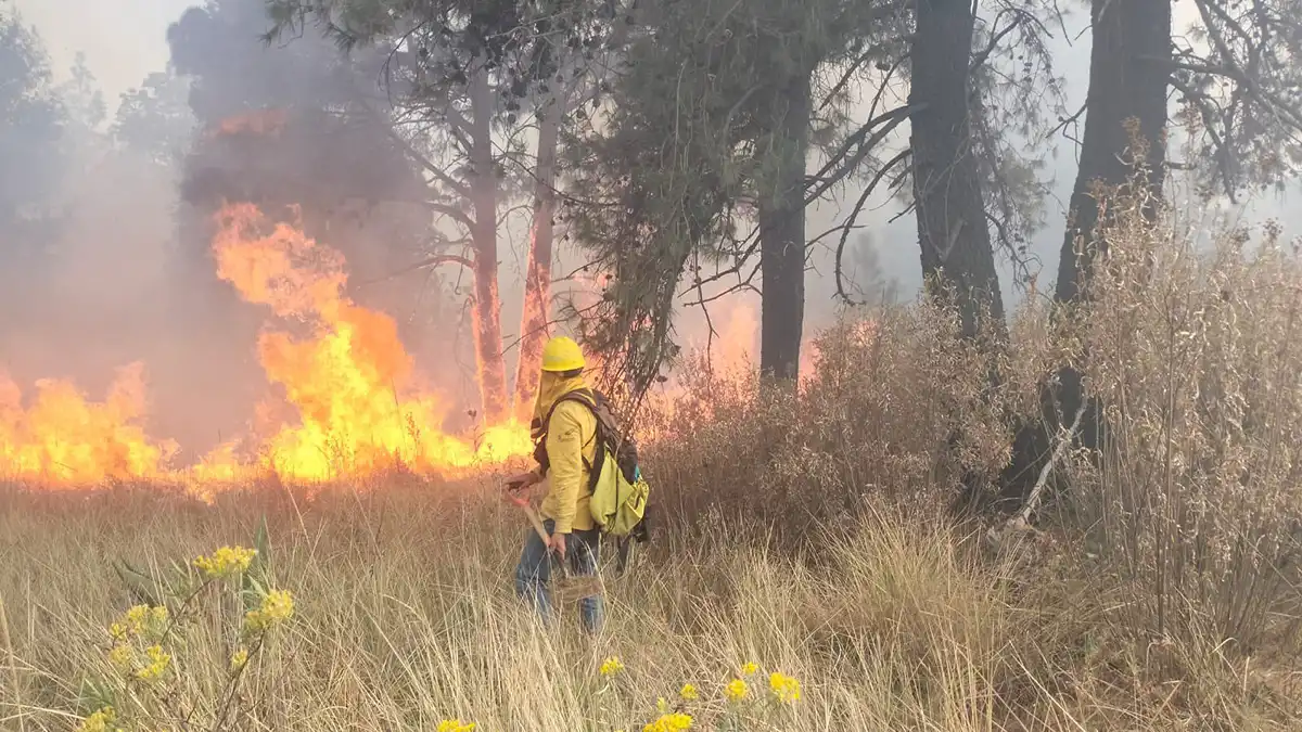 Este año, incendios afectan 490 hectáreas de áreas naturales protegidas de Puebla
