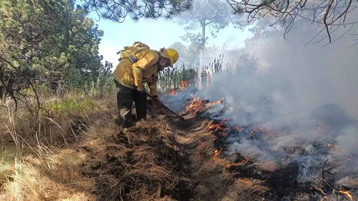 Se registran incendios forestales en Chilchotla e Ixtacamaxtitlán