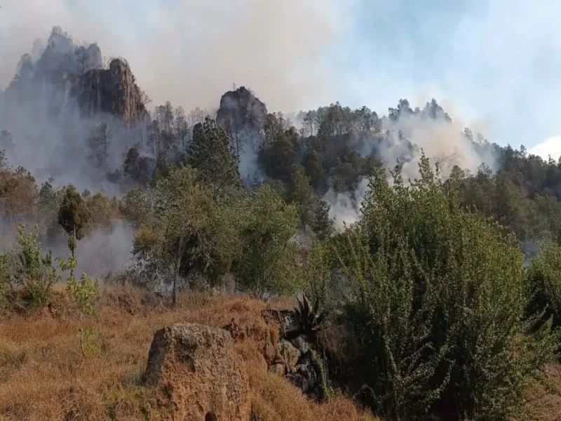 Se registra incendio forestal en Ixtacamaxtitlán; atienden 30 brigadistas