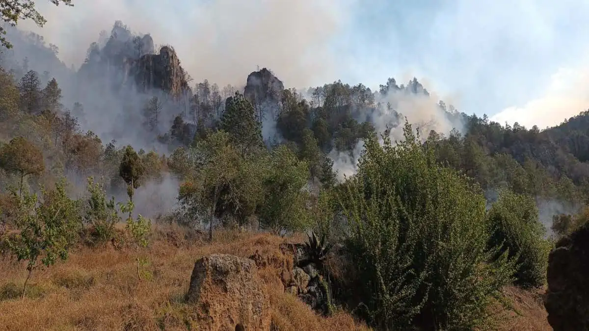 Se registra incendio forestal en Huixcolotla; atienden 30 brigadistas