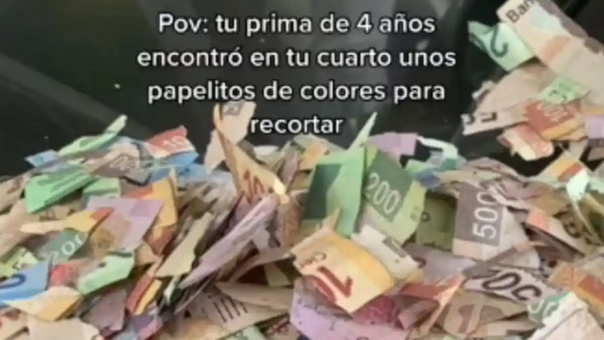 Billetes de México de diferentes denominaciones cortados en pedazos.