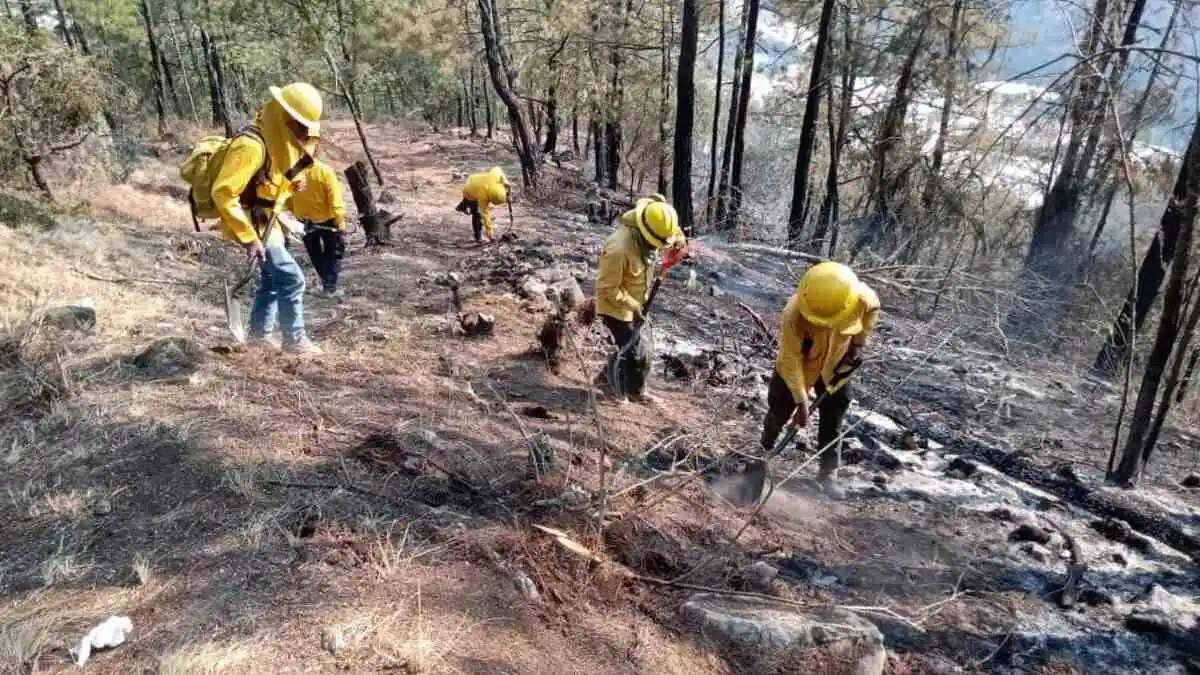 Incendio en Aquixtla deja alrededor de 85 hectáreas dañadas