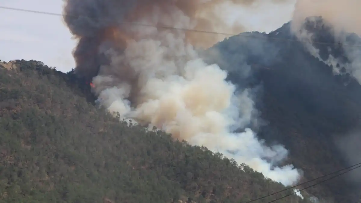 Cada 38 horas se atiende un incendio forestal intencional en Puebla