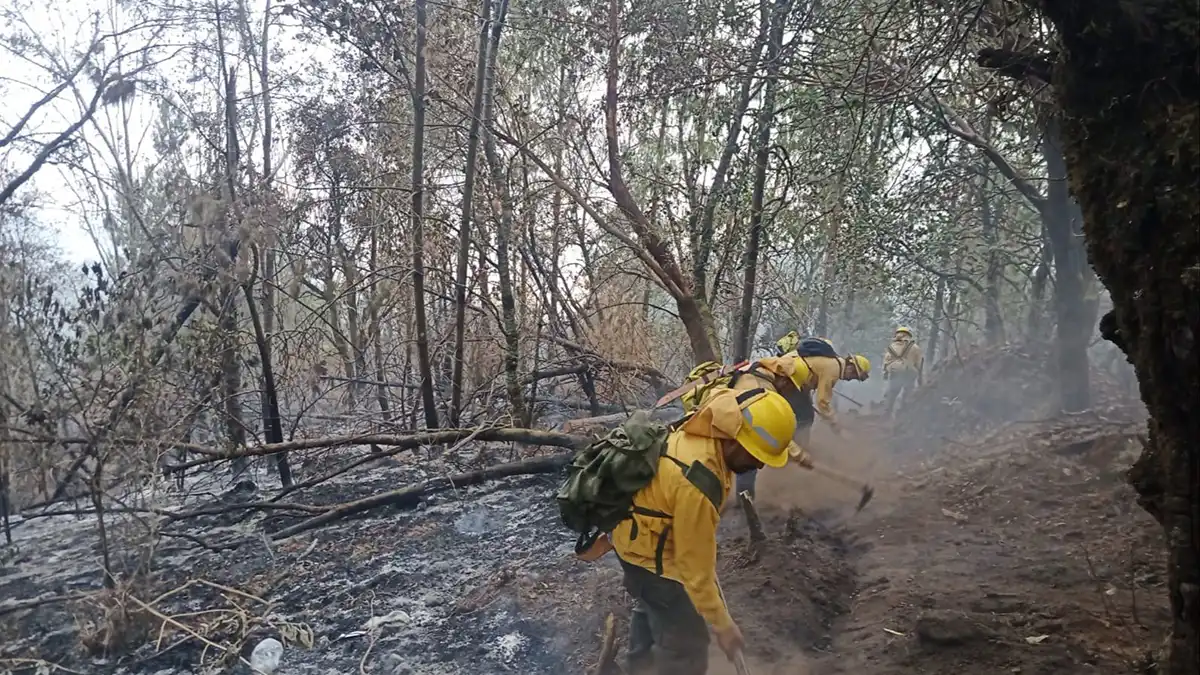 Incendios forestales rompen récord en Puebla: 14 en un solo día