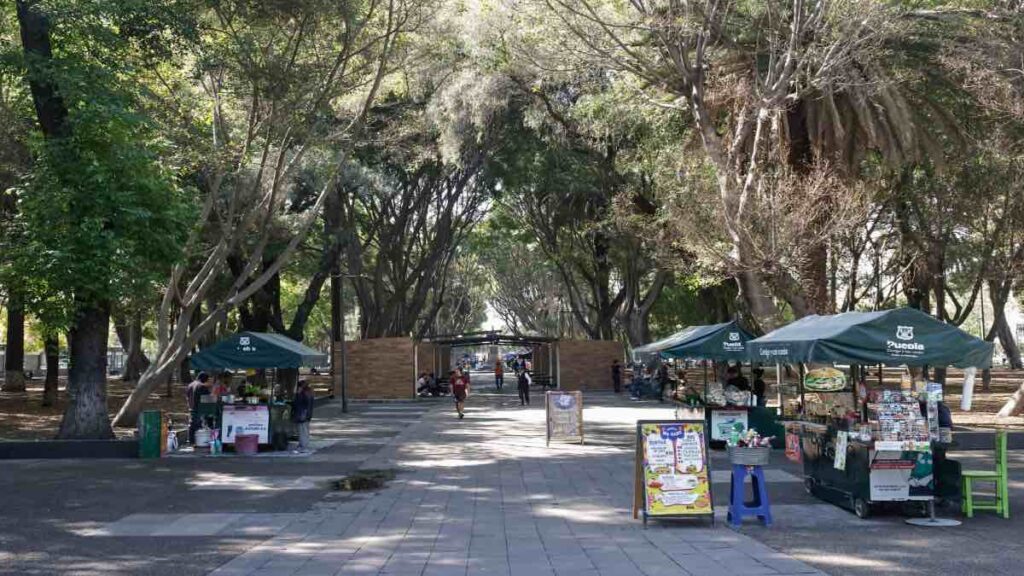 Ambulantes podrían reubicarse en el Paseo Bravo o El Carmen