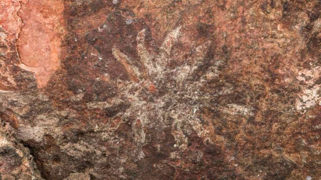 Confirman vestigios prehistóricos y mesoamericanos en Cañón de las Manitas de Tehuacán