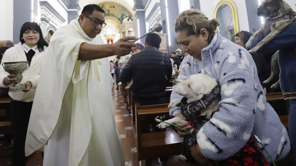 Así fue la bendición de mascotas en Puebla por fiesta de San Antonio Abad