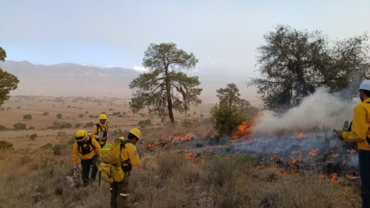 Incendio en Ahuazotepec