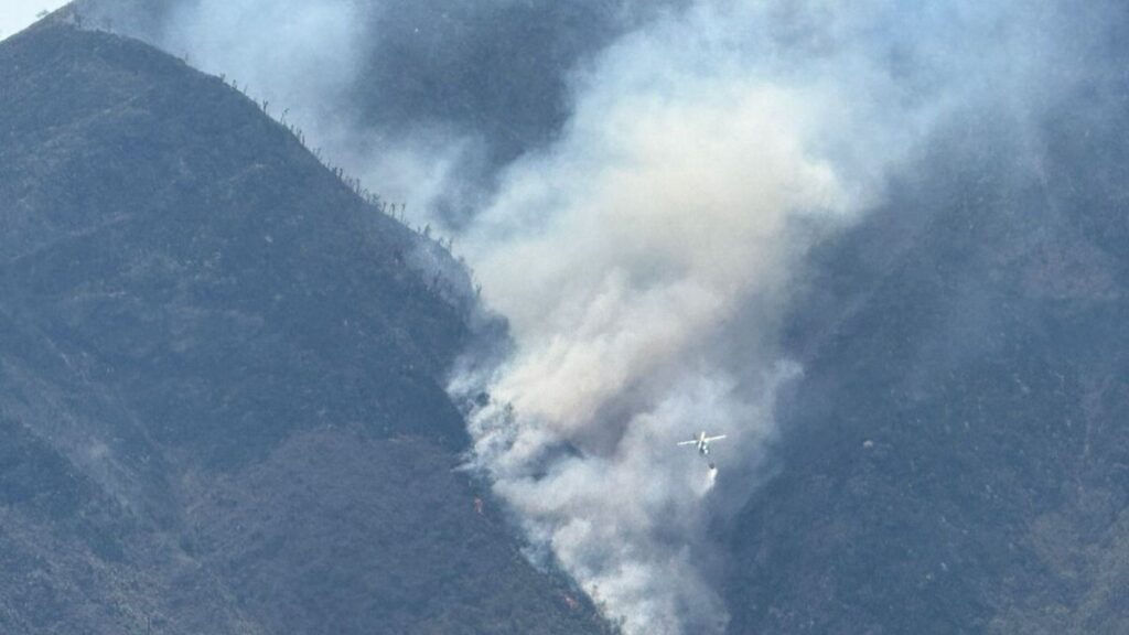 Incendio forestal en Zautla
