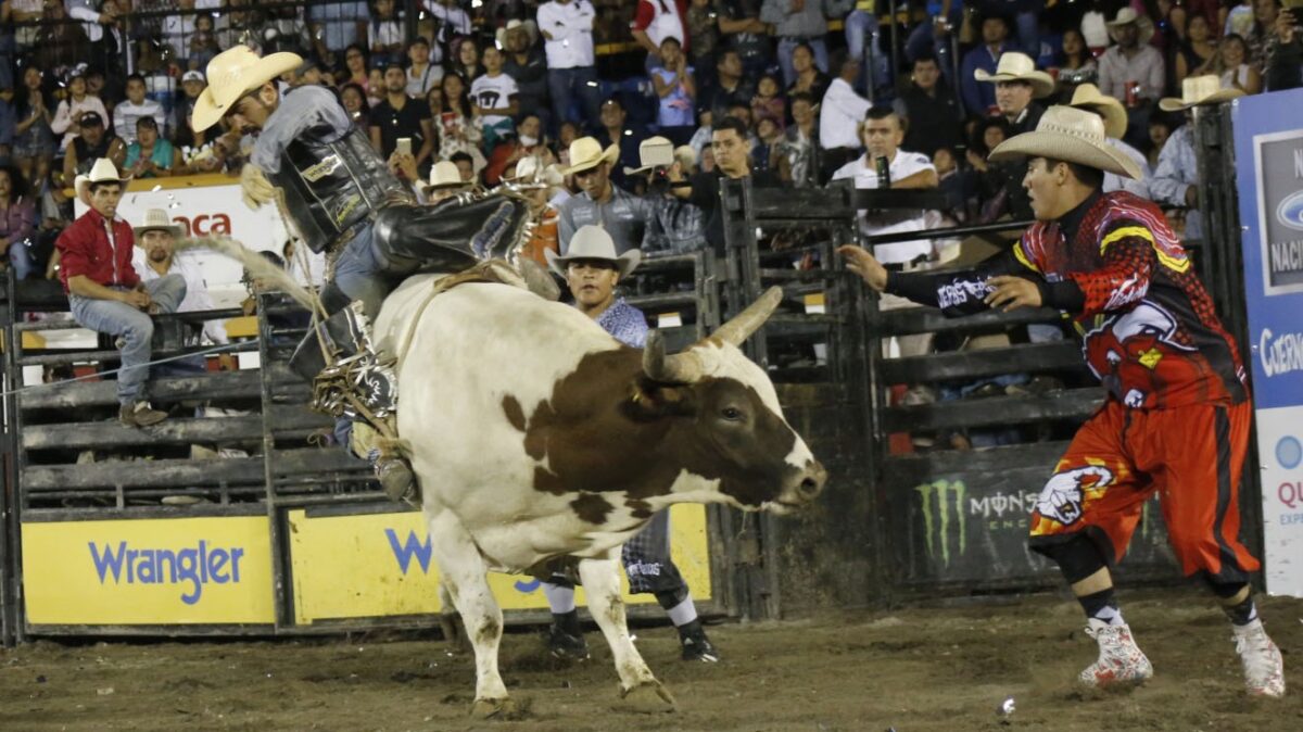 Rodeo/ Foto ilustrativa